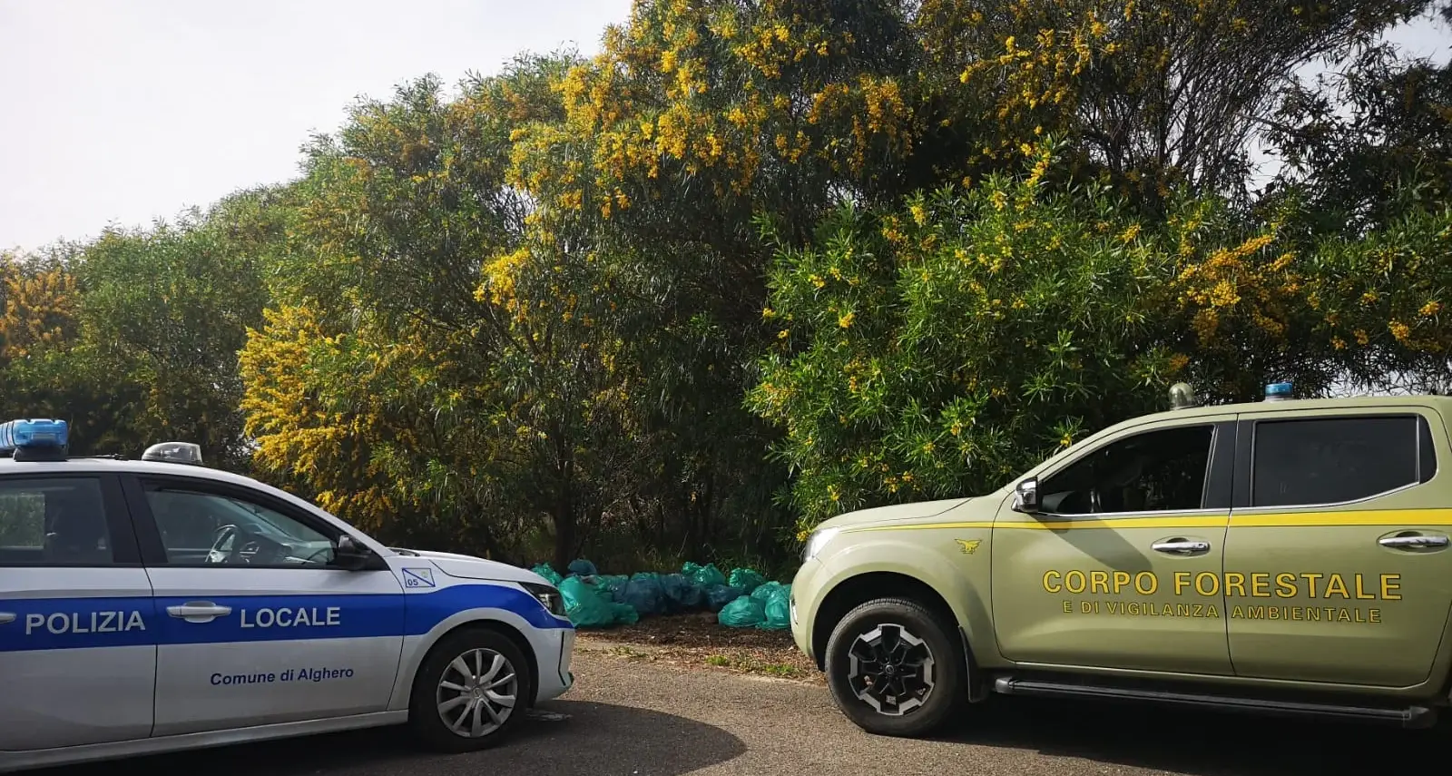Alghero. Abbandona 24 sacchi di rifiuti: incastrato dalle segnalazioni dei cittadini