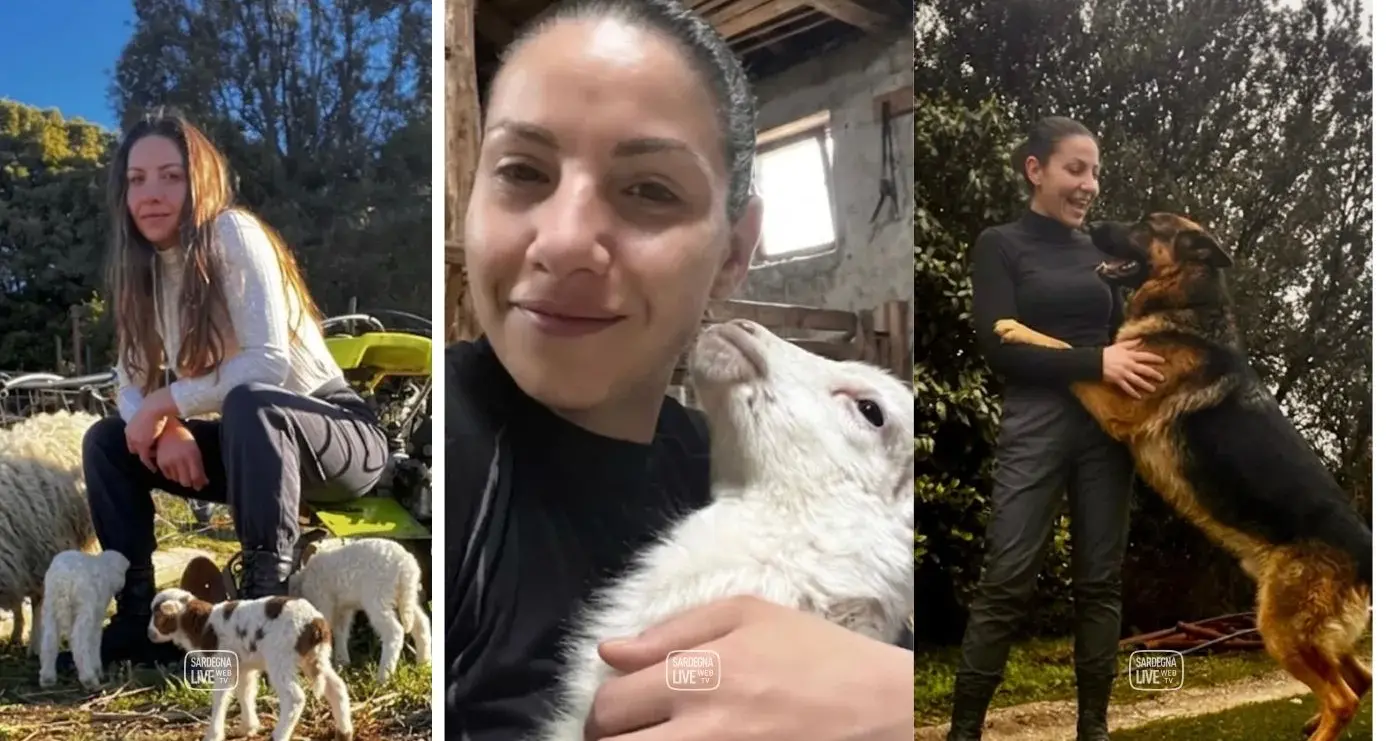 Seui. La scelta di Giulia Lobina di vivere la pastorizia: \"Amo la mia vita e il mio lavoro\"