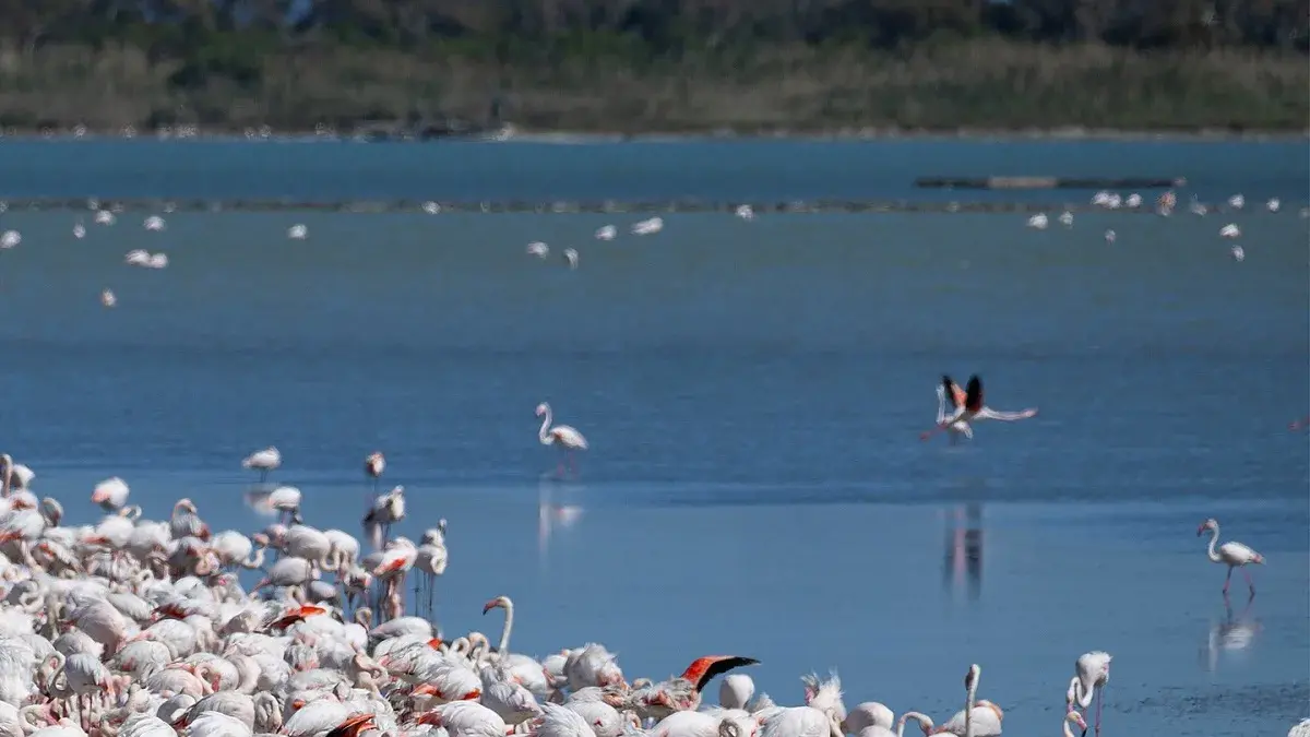 Cagliari apre 70 siti per i 30 anni della manifestazione Monumenti Aperti