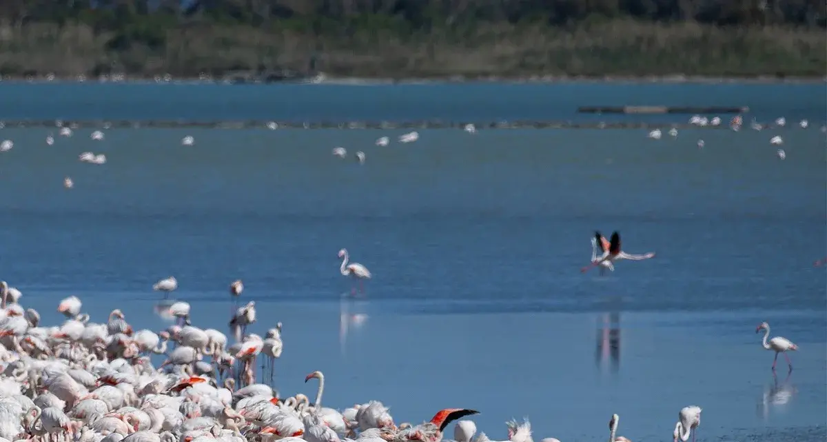 Cagliari apre 70 siti per i 30 anni della manifestazione Monumenti Aperti