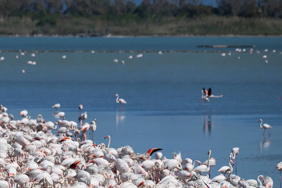 Cagliari apre 70 siti per i 30 anni della manifestazione Monumenti Aperti