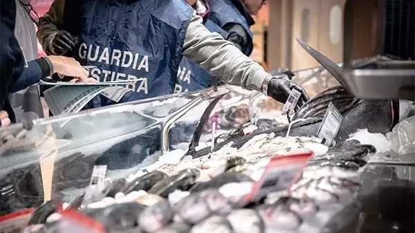 Sequestri e multe per irregolarità nella vendita di pesce tra Oristano e Bosa
