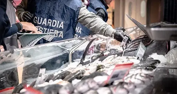 Sequestri e multe per irregolarità nella vendita di pesce tra Oristano e Bosa