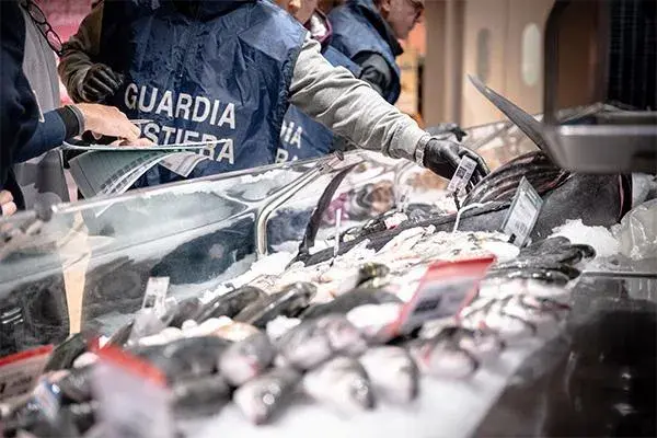 Sequestri e multe per irregolarità nella vendita di pesce tra Oristano e Bosa