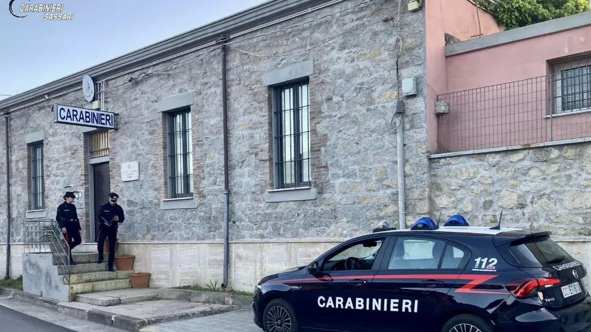Incubo finito per una donna a Padru: arrestato lo stalker che avvelenava i suoi gatti