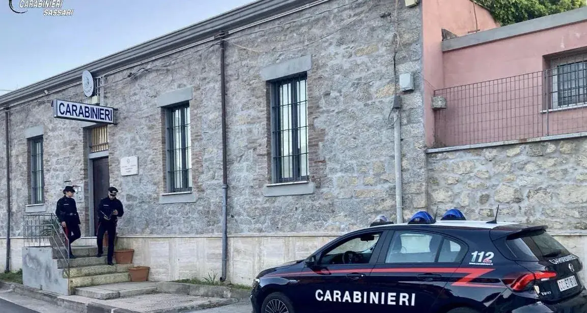 Incubo finito per una donna a Padru: arrestato lo stalker che avvelenava i suoi gatti