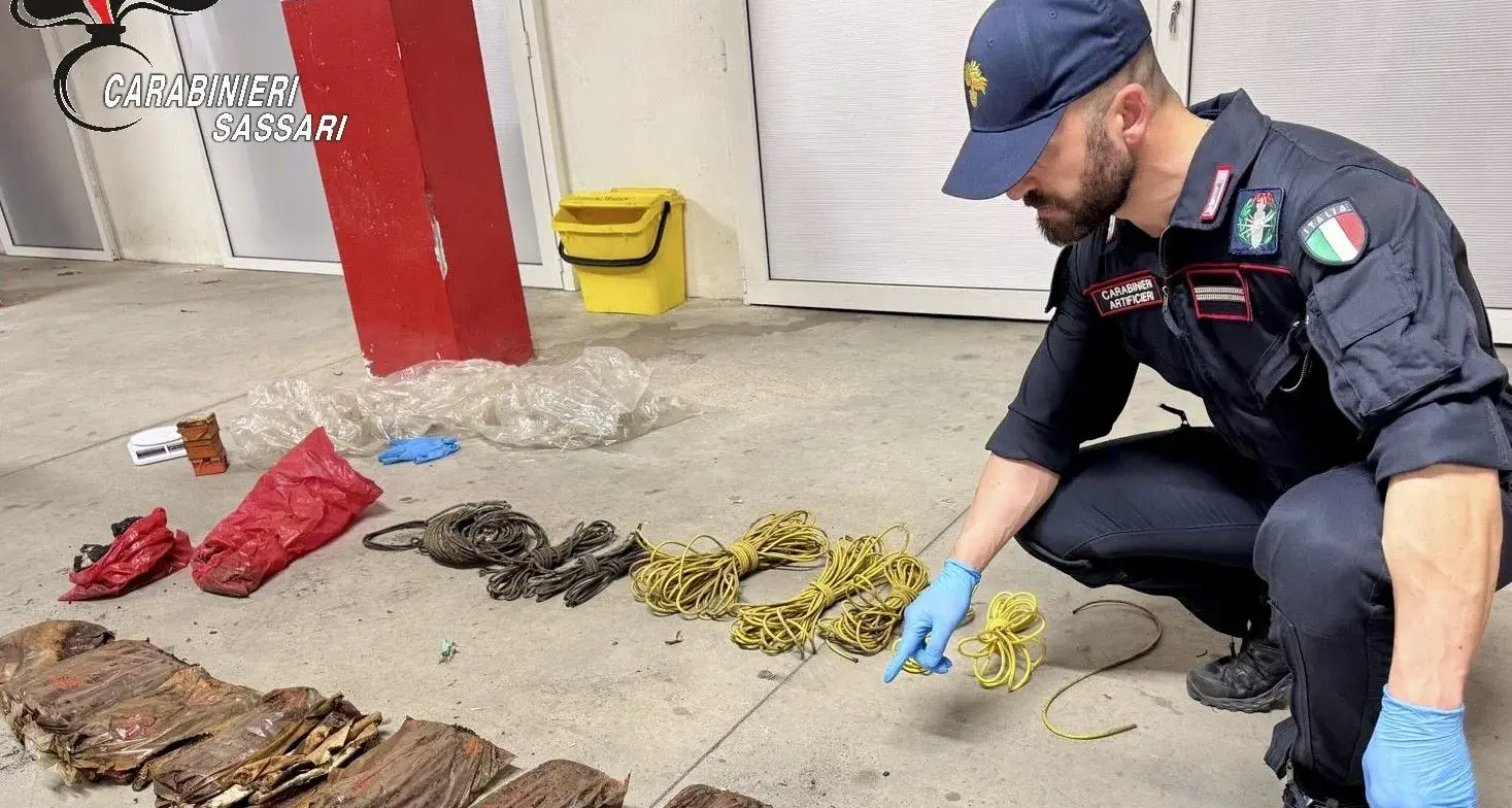 Allarme a Telti: rinvenuto esplosivo abbandonato tra le sterpaglie, intervengono gli artificieri